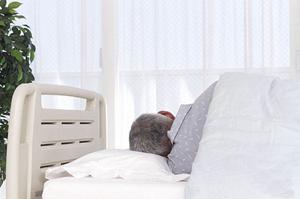 浜松市で歯科衛生士を募集するクリニック